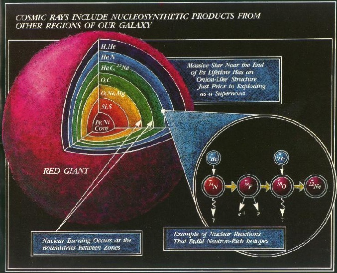 [Onion-Skin Model of Star]